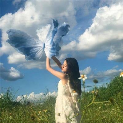 美丽缘未了